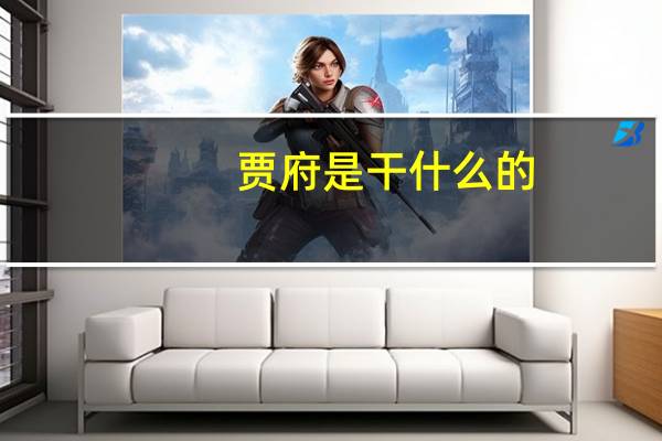 贾府是干什么的