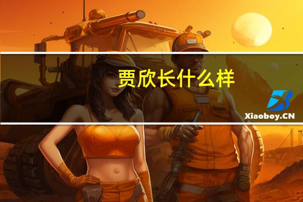 贾欣长什么样（贾欣彦简介）