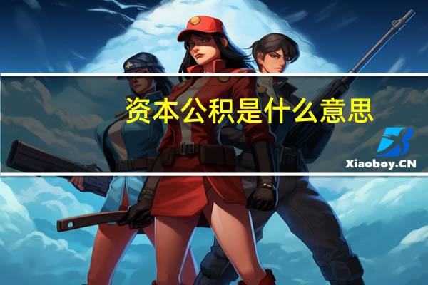 资本公积是什么意思(资本公积是什么意思)
