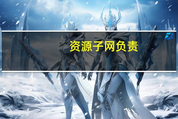 资源子网负责（资源子网）