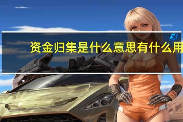 资金归集是什么意思有什么用(资金归集是什么意思)