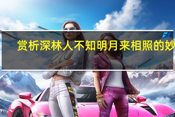 赏析深林人不知明月来相照的妙处