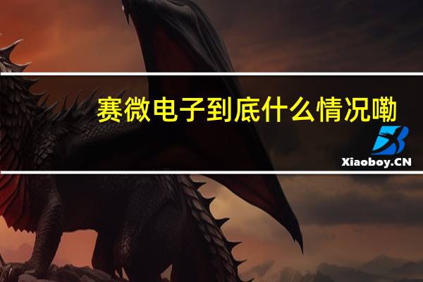 赛微电子 到底什么情况嘞