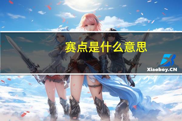 赛点是什么意思
