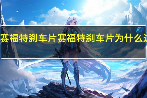 赛福特刹车片 赛福特刹车片为什么这么贵