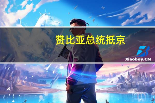 赞比亚总统抵京