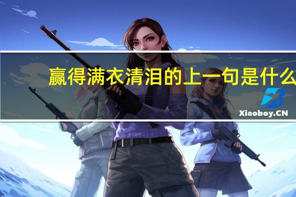 赢得满衣清泪的上一句是什么