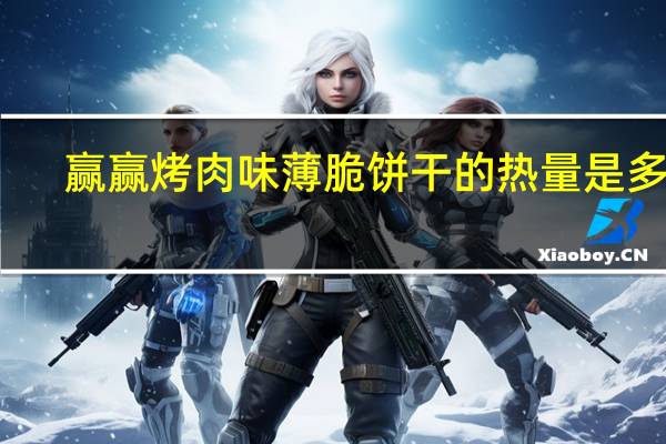 赢赢 烤肉味薄脆饼干的热量是多少