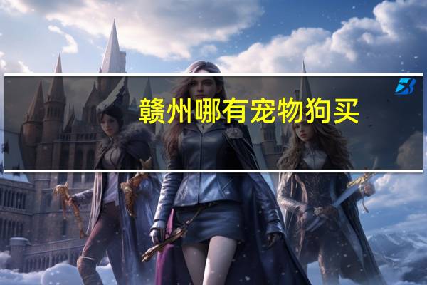 赣州哪有宠物狗买