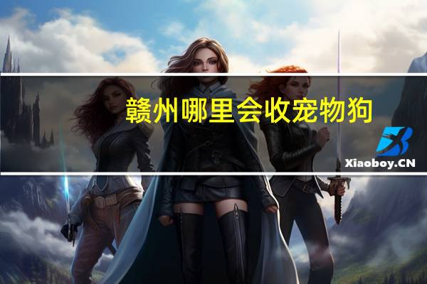 赣州哪里会收宠物狗