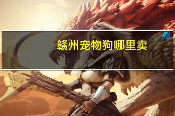 赣州宠物狗哪里卖