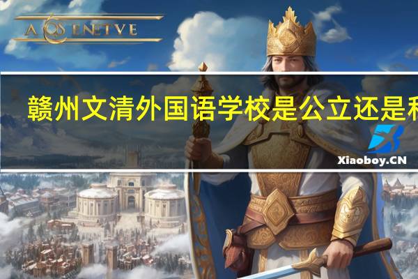 赣州文清外国语学校是公立还是私立