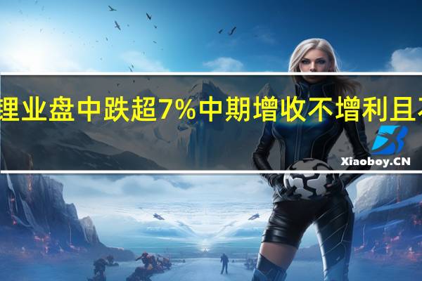 赣锋锂业盘中跌超7% 中期增收不增利且不派中期息