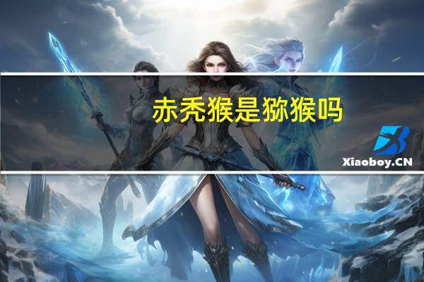 赤秃猴是猕猴吗（赤秃猴）
