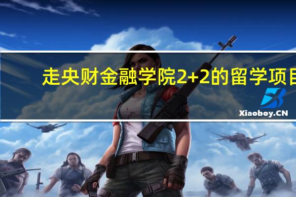 走央财金融学院2+2的留学项目,出国有什么要求吗