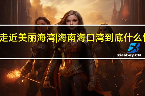 走近美丽海湾 | 海南海口湾 到底什么情况嘞