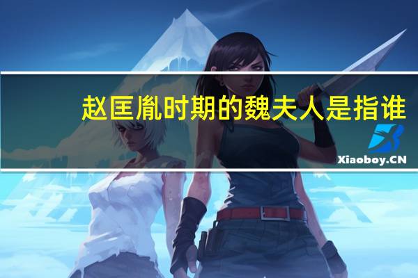赵匡胤时期的魏夫人是指谁