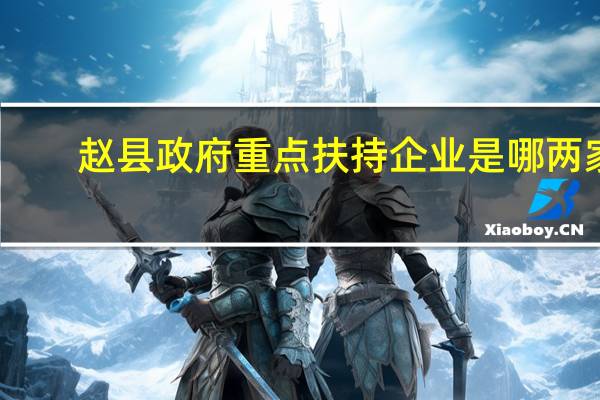赵县政府重点扶持企业是哪两家