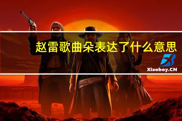 赵雷歌曲朵表达了什么意思