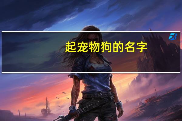 起宠物狗的名字