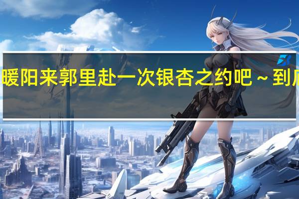 趁初冬暖阳来郭里赴一次银杏之约吧～ 到底什么情况嘞