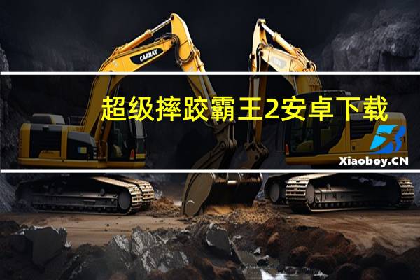 超级摔跤霸王2安卓下载（超级摔角天使简介）