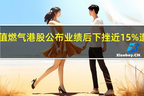 超700亿市值燃气港股公布业绩后下挫近15% 遭机构下调目标价 