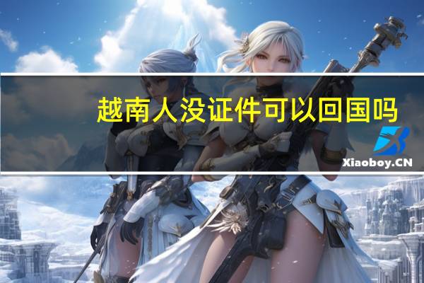 越南人没证件可以回国吗