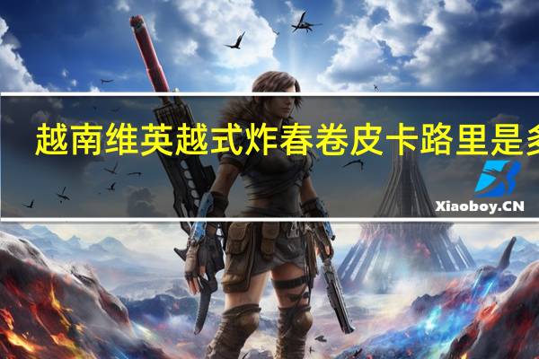 越南维英 越式炸春卷皮卡路里是多少