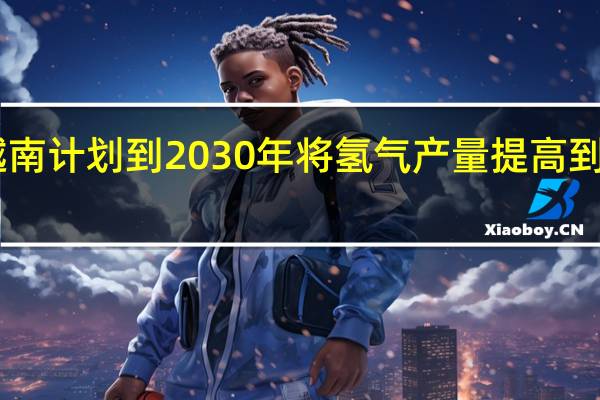 越南计划到2030年将氢气产量提高到50万吨
