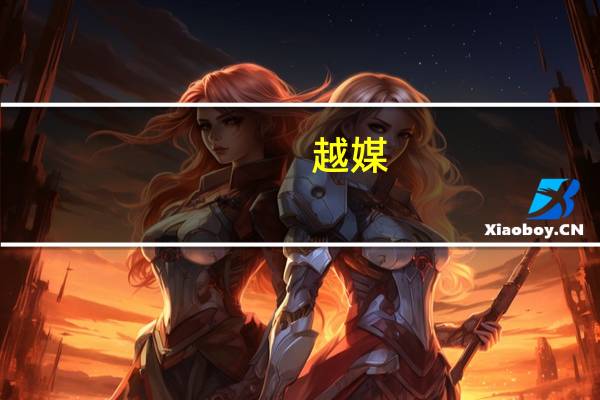 越媒：越南副总理黎文成去世