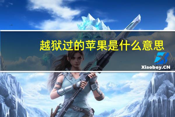 越狱过的苹果是什么意思（苹果越狱是什么意思）