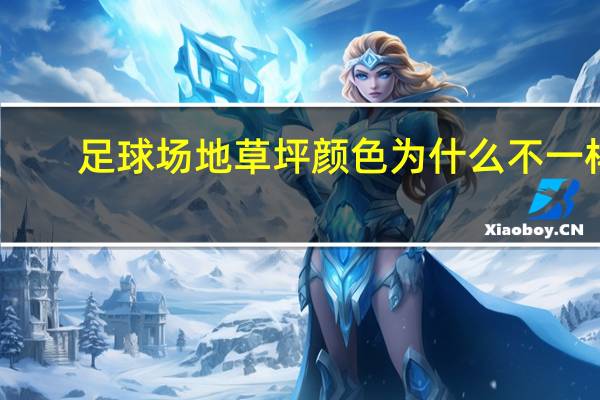 足球场地草坪颜色为什么不一样（足球场地草坪）