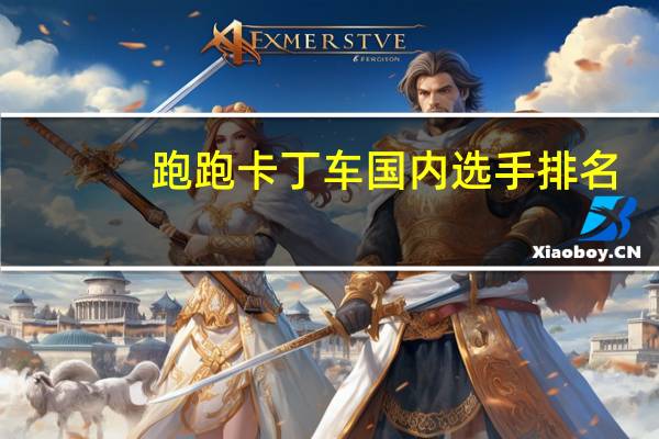跑跑卡丁车国内选手排名