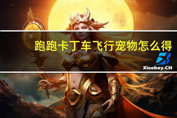 跑跑卡丁车飞行宠物怎么得