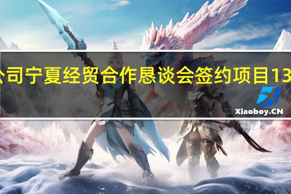 跨国公司宁夏经贸合作恳谈会签约项目13个 总金额42.2亿元
