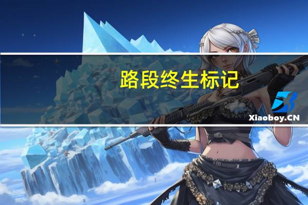 路段终生标记（路段）