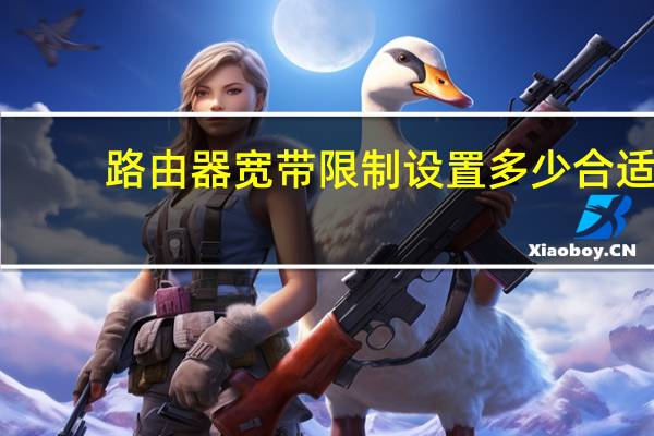 路由器宽带限制设置多少合适