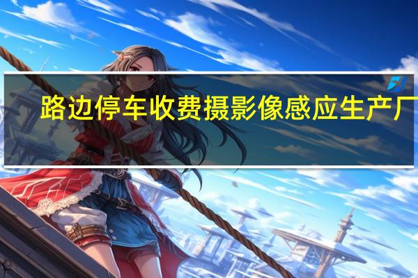 路边停车收费摄影像感应生产厂家