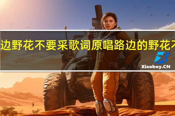 路边野花不要采歌词原唱 路边的野花不要采dj