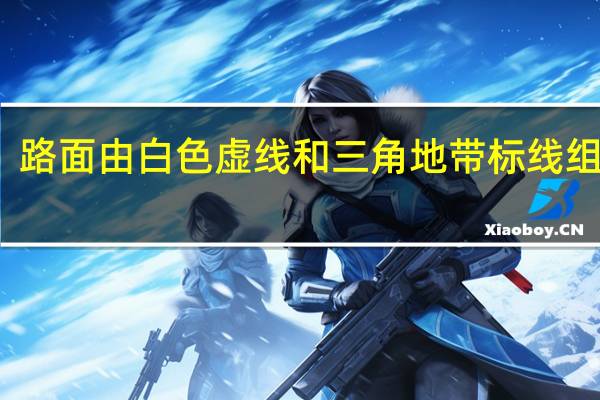 路面由白色虚线和三角地带标线组成的,是什么标线?