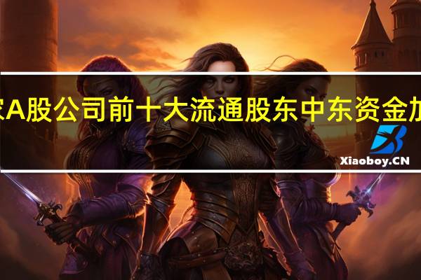 跻身逾40家A股公司前十大流通股东中东资金加速布局中国资产