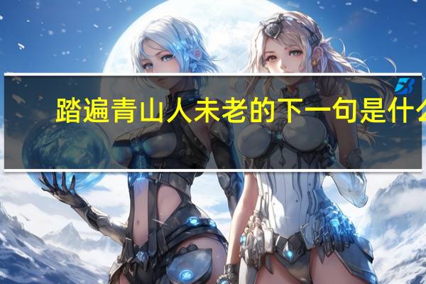 踏遍青山人未老的下一句是什么