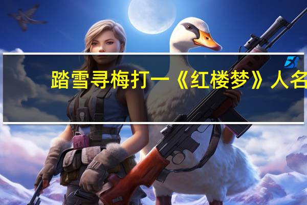 踏雪寻梅打一《红楼梦》人名（踏雪寻梅）