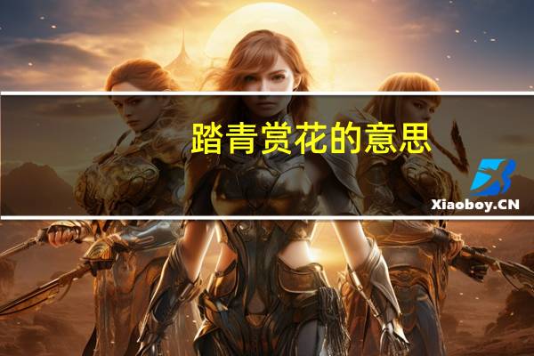 踏青赏花的意思