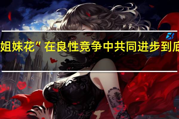 蹦床“姐妹花”在良性竞争中共同进步 到底什么情况嘞