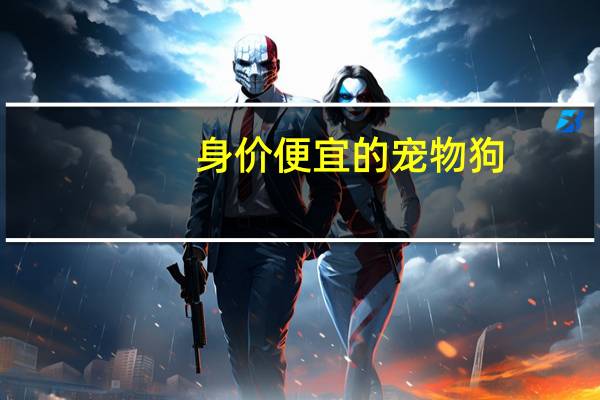 身价便宜的宠物狗