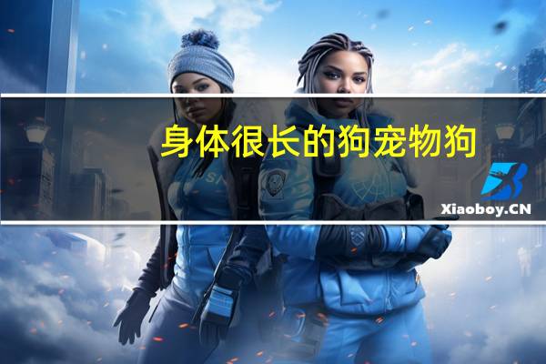 身体很长的狗宠物狗