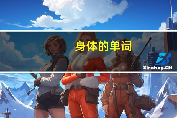 身体的单词