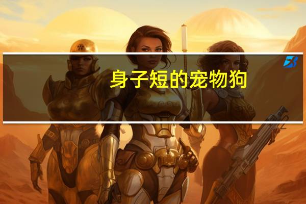 身子短的宠物狗